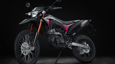 2023 Honda Crf 150 Review And Specs